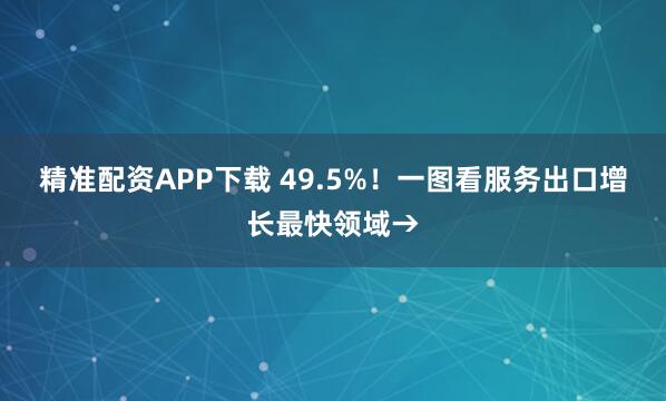 精准配资APP下载 49.5%！一图看服务出口增长最快领域→