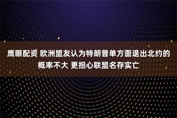 鹰眼配资 欧洲盟友认为特朗普单方面退出北约的概率不大 更担心联盟名存实亡
