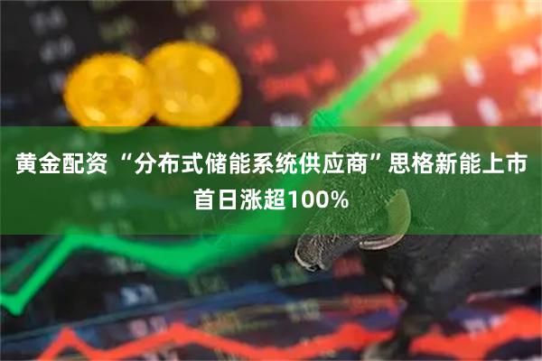 黄金配资 “分布式储能系统供应商”思格新能上市首日涨超100%